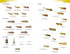 Field Guide to the Micro-moths of Great Britain and Ireland. 2nd. Ed. - Sterling,P. 2023